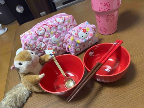 キティパイセン！！！！！！


たくさんありがとうヾ(*ΦωΦ)ﾉ ﾆｬ～♪