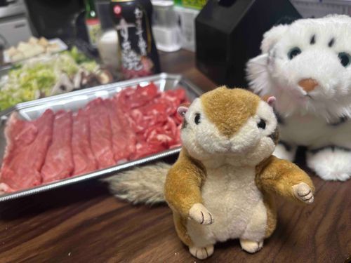 すっ、すっ、すき焼き！！🥩🥩
たまごといっしょに、黒毛和牛！