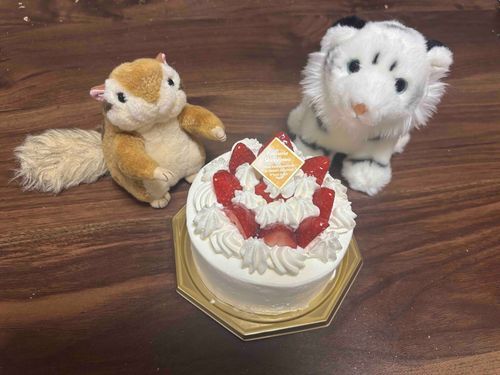 ハッピーバースデートゥーユー🎂🎂
いっしょにおいわいしましょー！