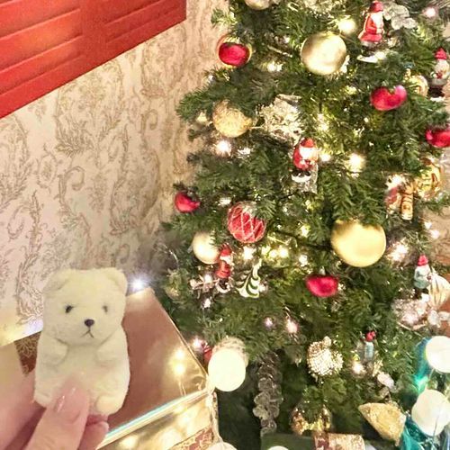 メリークリスマス！
ことしも楽しいクリスマスだった！
