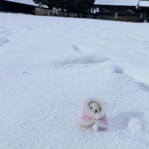 これが ぎんせかい
