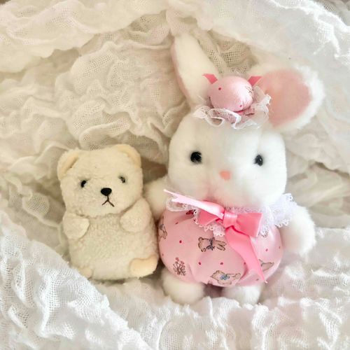 うさちゃんもおむかえできたよ！
お店に何回も通ったけどいなくて、ネットで おむかえしたんだって
片耳が前をむいててかわいい
これからよろしくね