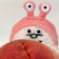 おにぎり
