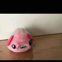 ハムちゃん