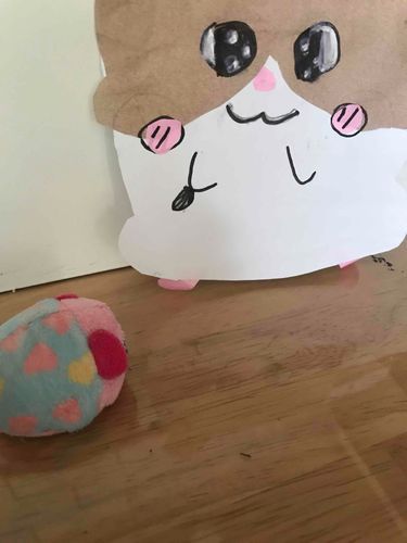 大きいハムスターちゃんを見つけたよーん！
初投稿！