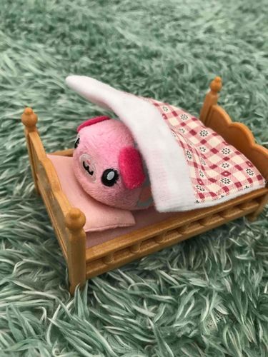 飼い主さんに欲しかったベッド🛏買ってもらったー！
早速、お昼寝しよー！