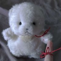 しお