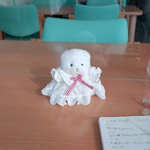主は入院してから、日記を書くのが日課になったみたい。
主によると、「それほど入院生活が暇！」らしいの。
でも、日記に書いてることはとりとめのないことばかりなんだって〜！