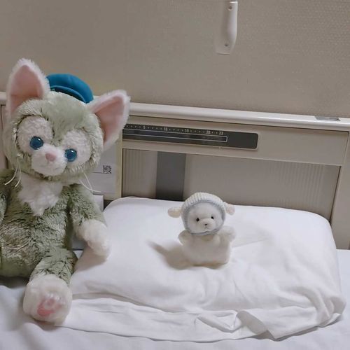 主が薬の副作用で悪夢をみるみたいなので、しおが羊の被り物をして一緒に寝てあげようと思います。
安眠効果アリ‼️