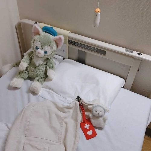 主の外出許可が出たよ！
同伴者ありなら、夕方くらいまで出かけられるんだって〜。
主のお父さんと一緒に、遊びに行くみたい！
もちろん、しおもついてくの。