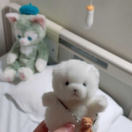 くまさん🧸可愛いの！