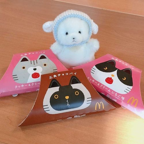 三角チョコパイの季節！
1個は主の弟さんのらしいの。
主によると「やっぱチョコが定番で美味い！」らしい！