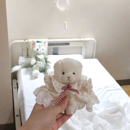 主は外泊許可が出たらしくって、今日から1泊2日でお家に帰れるんだ！もちろんしおもついてくよ！