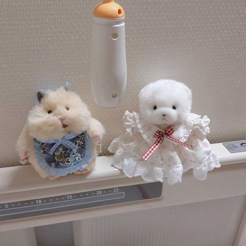 新しくおうちに来た子がいるの。
名前は小麦って言うんだって！
お友達になれるといいなぁ〜。
よろしくね！小麦くん！