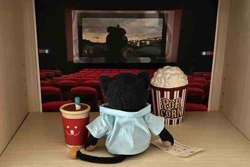 夜の部(`◉ ᴥ ◉’)✧*｡
Late-night screening.
