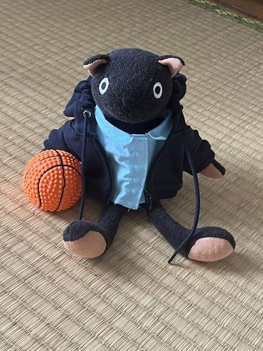 タタミバリー州の土地は9割が畳である🏀(`◉ ᴥ ◉’)
90% of the land in Tatamibury is covered in tatami mats.