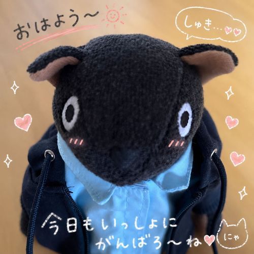 ✧*｡(`◉ ᴥ ◉’)♡
