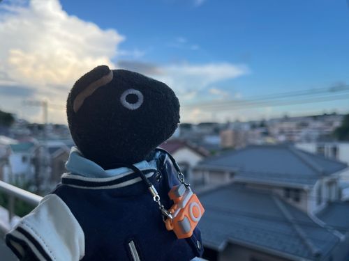 残暑の空(`◉ ᴥ ◉)✧*｡