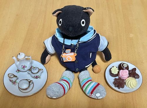 ヌン活☕︎(◉ ᴥ ◉’)✧*｡