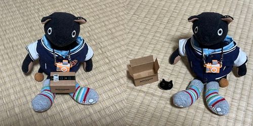 Amazonショッピング📦(◉ ᴥ ◉’)✧*｡