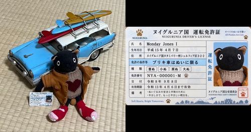 免許証とりたて🪪(`◉ ᴥ ◉’)🚙