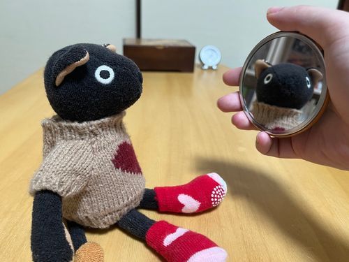 (`◉ ᴥ ◉)＜ぼく、かわいい？