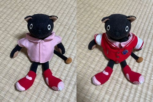 おニューのシャツ👚(`◉ ᴥ ◉’)✧*｡