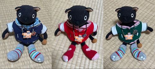 ファッションショー(`◉ ᴥ ◉’)✧*｡