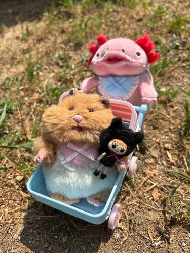 みたらし♡です！
うぱさん♡と朝んぽ♪楽ちん♪