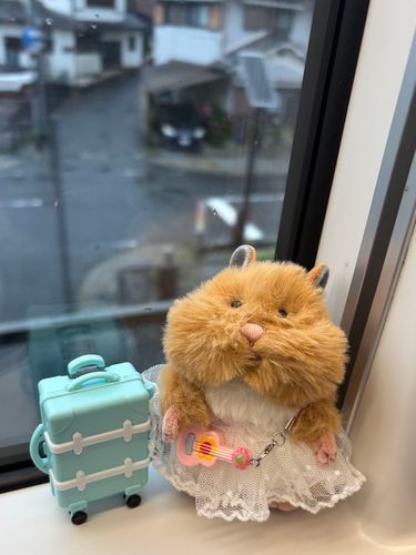 みたらし♡です！
ひのとりで名古屋までー！
カッコよかった♡