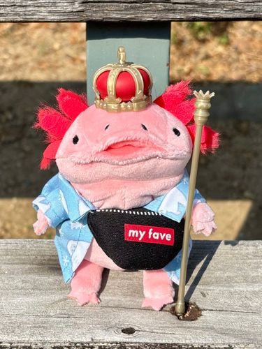 うぱさん♡です！
昨日(2026/07/22)やってきたよ！
王冠👑被らせてもらって、
特別扱いうけたよー♡
最初だけねー！