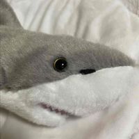 さめ丸