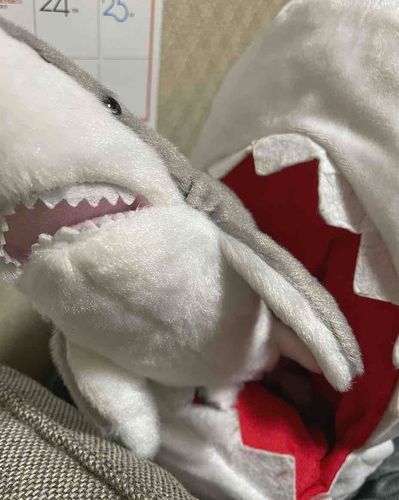 おおきいこにたべられそうになるときもあります。