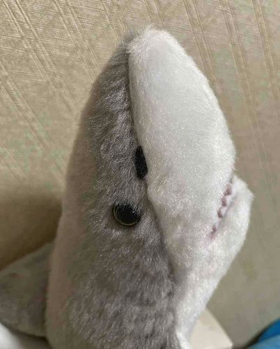 しゅっしんは、UFOキャッチャーです。