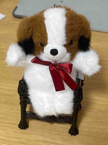あたらしくきた　じゃーきーです　よろしくね