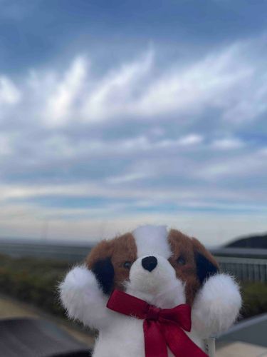そとだー！