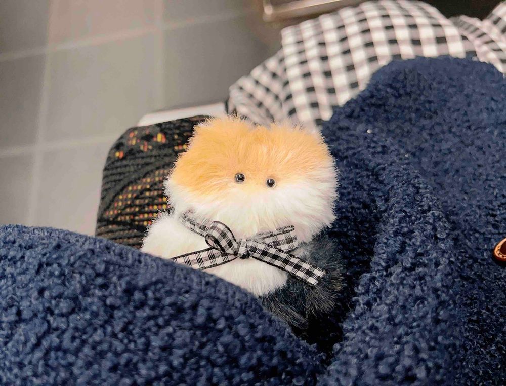 とっきゅ らいなーだって
ふわふわふく きてる 