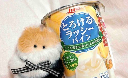よぐると みたい だた