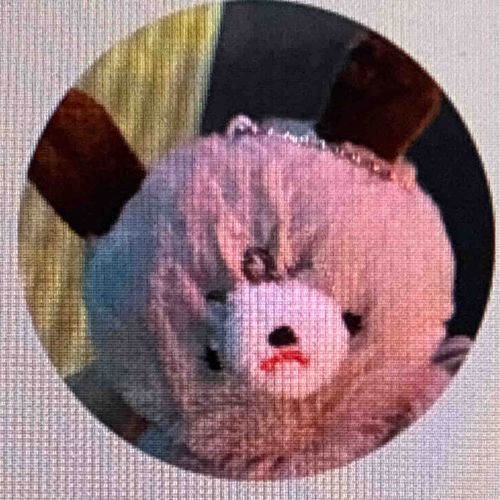 おともだちたちの写真を載せます
おともだちは人型が多めかな？と思います。動物系も載せます。
前のアカウントが機種変更で上手く引き継げなかったため新アカウントです！おともだちになりましょう。