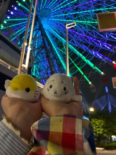 友達(人間)と水族館へ！あざらしちゃんをお迎え…