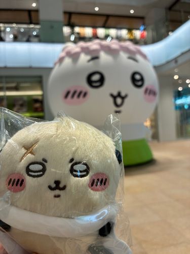 ラッコ先生とでかかわ