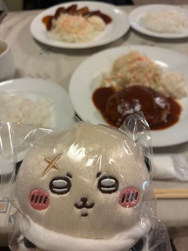 ラッコ先生とご飯です