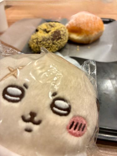 ラッコ先生、ドーナツですよ