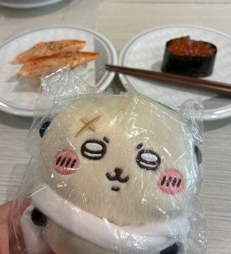 昨晩はお寿司屋さんに行きました❣️
やっぱり、炙りサーモンってすっごく美味しいですね!ラッコ先生!
先生のために、チョコパフェも頼んだのですけど、お寿司との写真の方がなんだかキラキラしていたので、お寿司とのお写真を載せます🍣