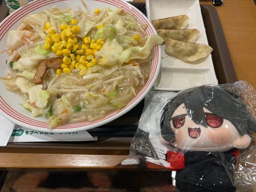 長崎皿ちゃんぽんと餃子だよ