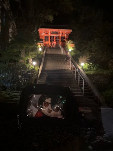 夜の神社っていいよね