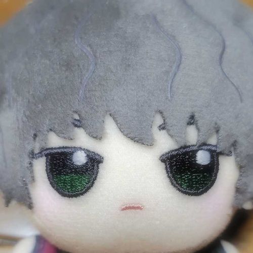 今日お世話係さんにお迎えされてきました。マサです。マサはお世話係さんがつけた識別名みたいなもので、本当の名前はスモーキーです。同居ぬいのレゼさん共々よろしく。