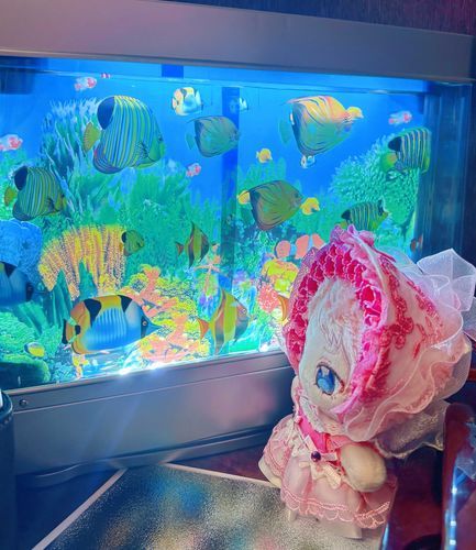 ぷかぷか🐠
