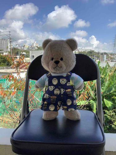 おはようございます。
今日もぼったくんは元気だよ！