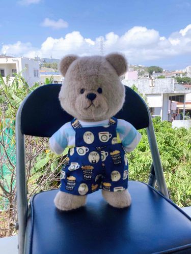 今日もぼったくんとお空は元気だよ！